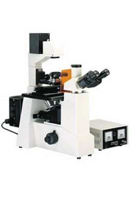 荧光显微镜,XSP-63XD