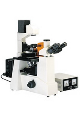 ӫ����΢��