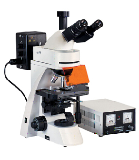 ӫ����΢��XSP-63A