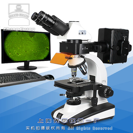 XSP-SG-63X荧光显微镜-医用荧光显微镜
