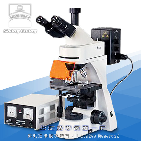 荧光显微镜XSP-63A