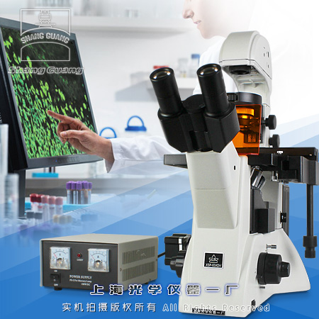 荧光显微镜|XSP-63XDV